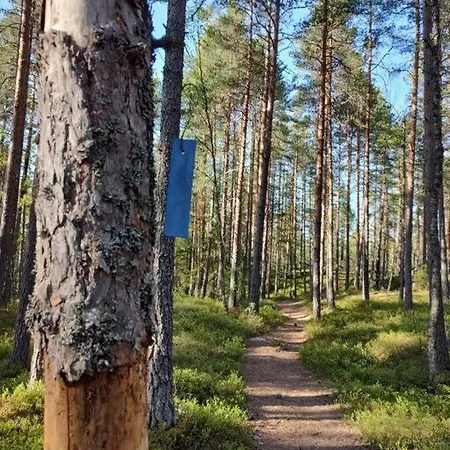 Semesterbostad Hus I Telemarkskanalens Hjerte Ulefoss